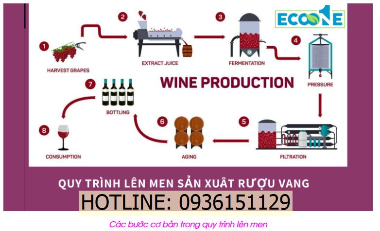 Các bước cơ bản trong quy trình lên men